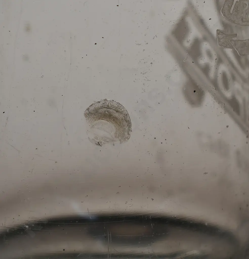 PAIN WESTPORT SODA SYPHON Image 1++