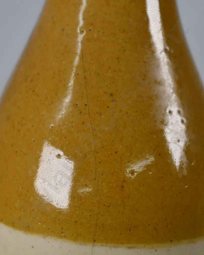 GREY & MENZIES SWING STOPPER GINGER BEER Image 1++