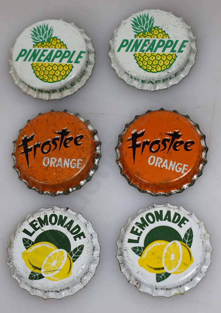 NEW ZEALAND SOFT DRINK BOTTLE CAPS Image 1++