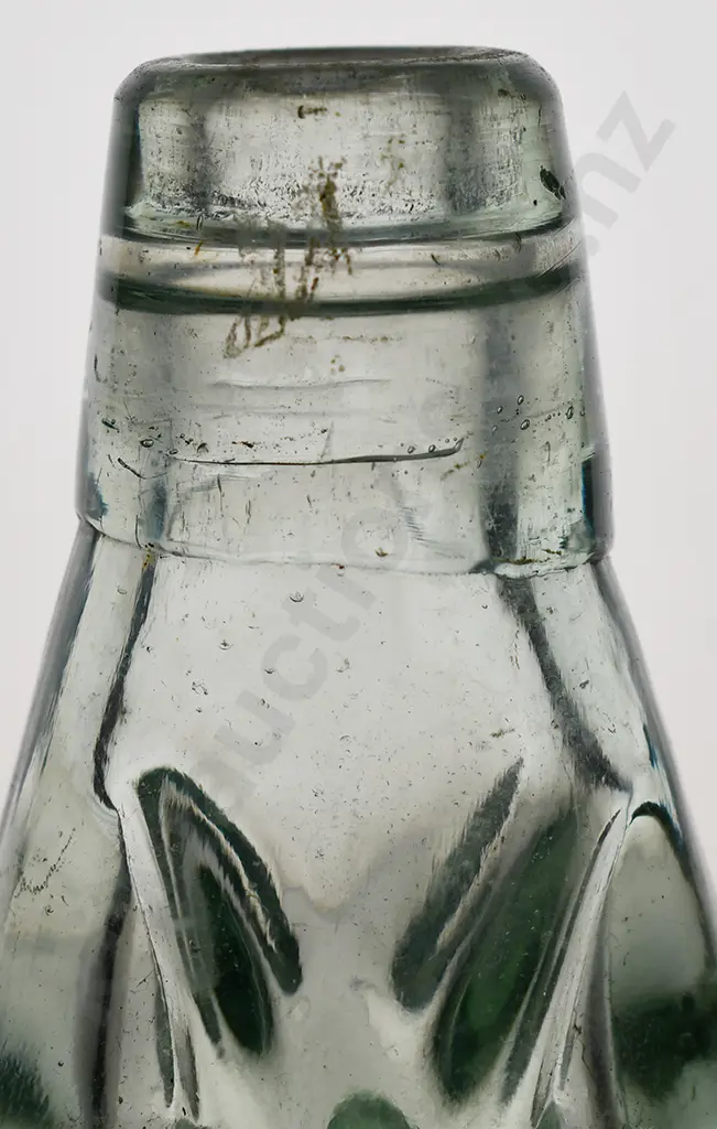 DIXON'S PALMERSTON NORTH CODD Image 1++