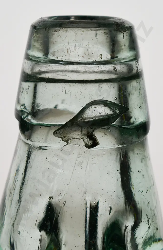 MACKINNON WANGANUI CODD Image 1++