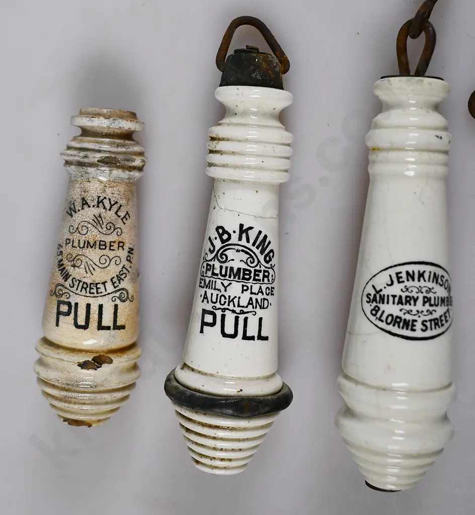 TOILET PULLS FROM PALMERSTON NORTH, AUCKLAND Image 1++