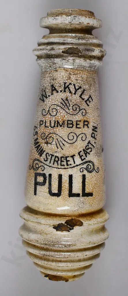 TOILET PULLS FROM PALMERSTON NORTH, AUCKLAND Image 1++