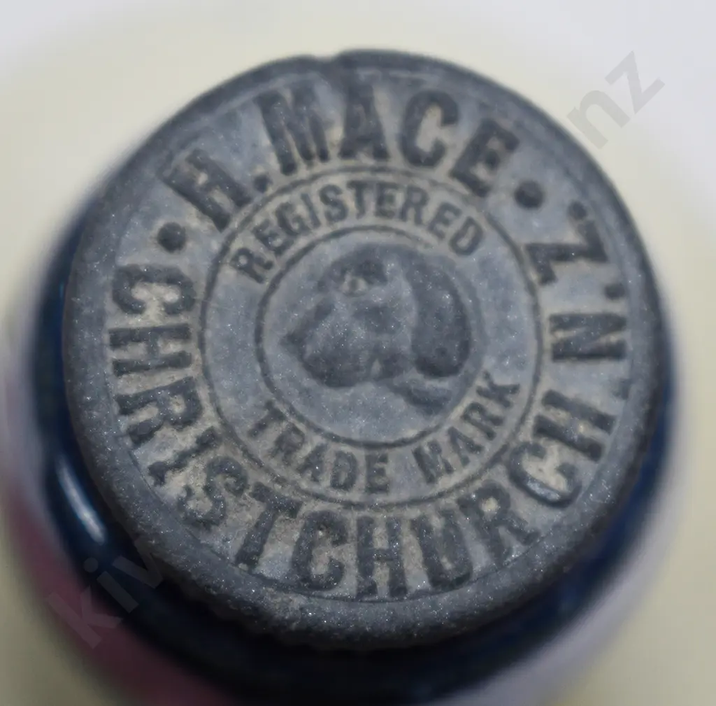 LEES & EVANS CHRISTCHURCH GINGER BEER Image 1++