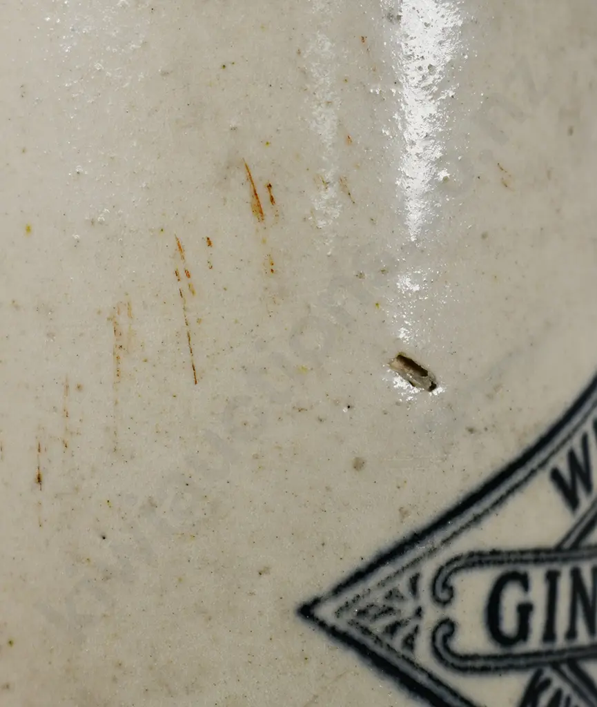 WILLIAMS WESTPORT GINGER BEER Image 1++