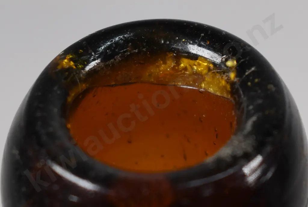 WARNER'S SAFE CURE BOTTLES Image 1++