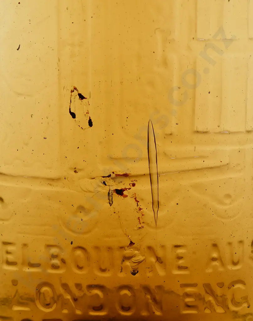 WARNER'S SAFE CURE BOTTLES Image 1++