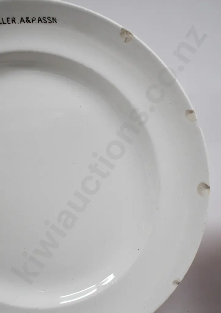 SOUVENIR WARE CHINA, BULLER A&P. ASSN Image 1++