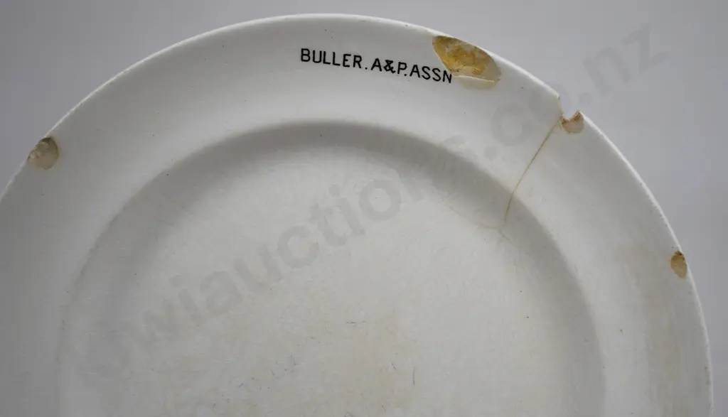 SOUVENIR WARE CHINA, BULLER A&P. ASSN Image 1++
