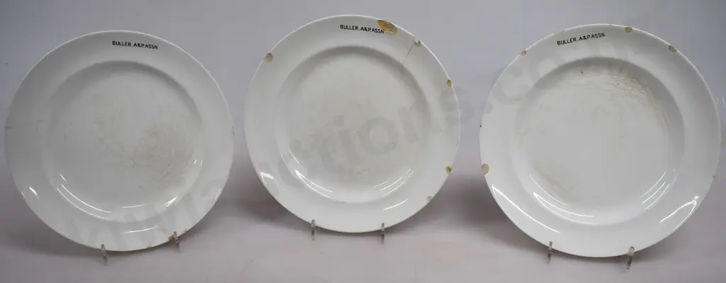 SOUVENIR WARE CHINA, BULLER A&P. ASSN Image 1++