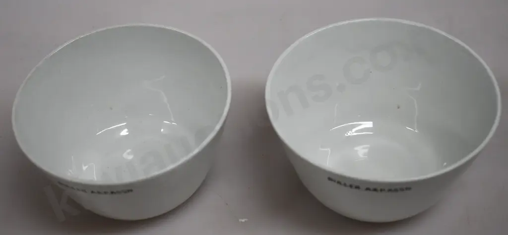 SOUVENIR WARE CHINA, BULLER A&P. ASSN Image 1++