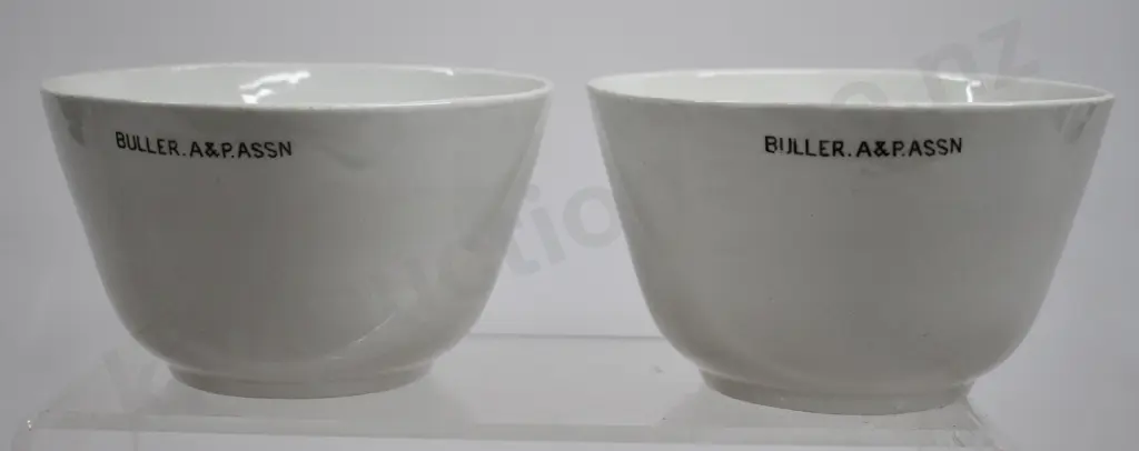 SOUVENIR WARE CHINA, BULLER A&P. ASSN Image 1++