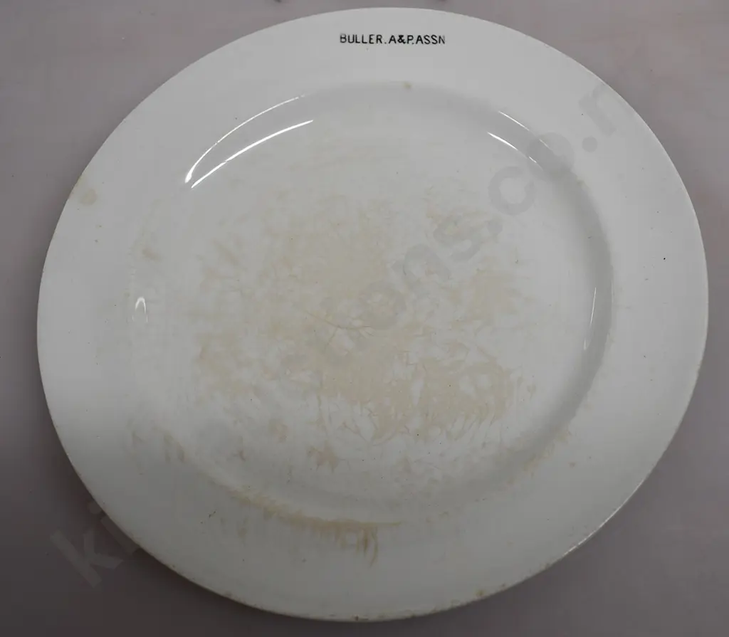 SOUVENIR WARE CHINA, BULLER A&P. ASSN Image 1++
