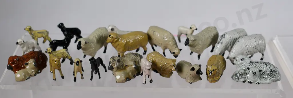 ASSORTED LEAD SHEEP, LAMBS Image 1++
