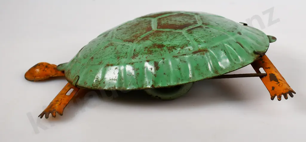 HERCULES TOMMY TORTOISE Image 1++