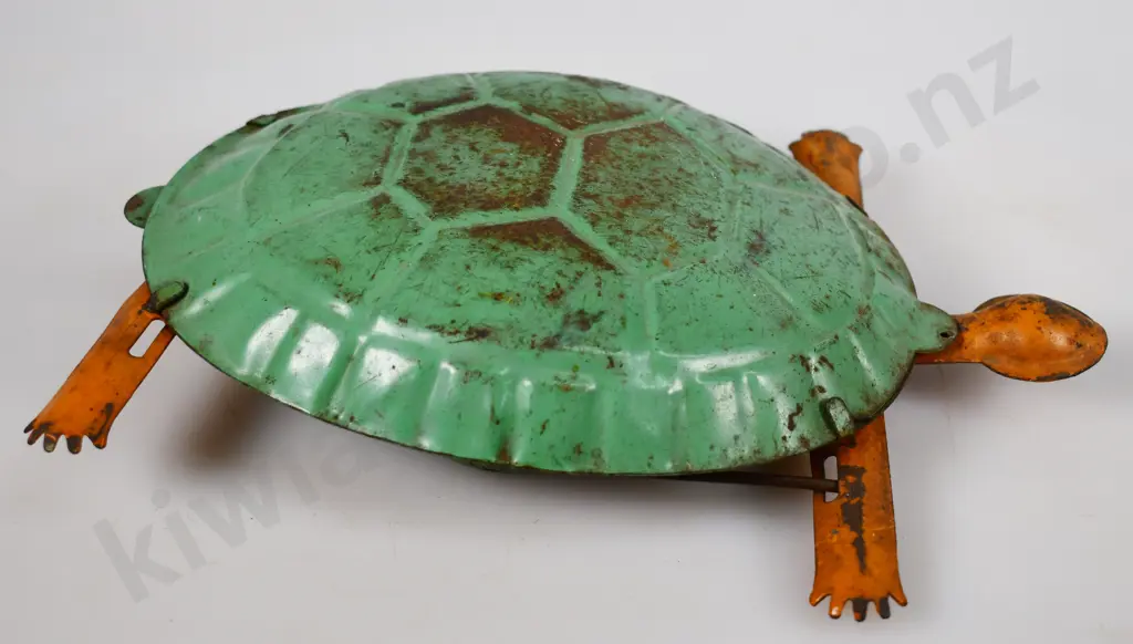 HERCULES TOMMY TORTOISE Image 1++