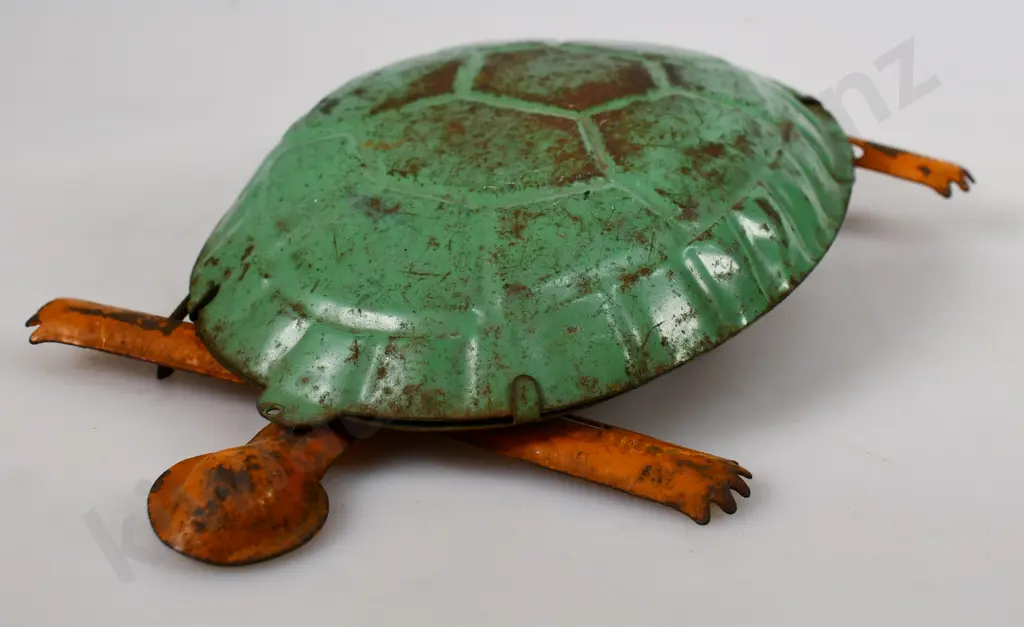 HERCULES TOMMY TORTOISE Image 1++
