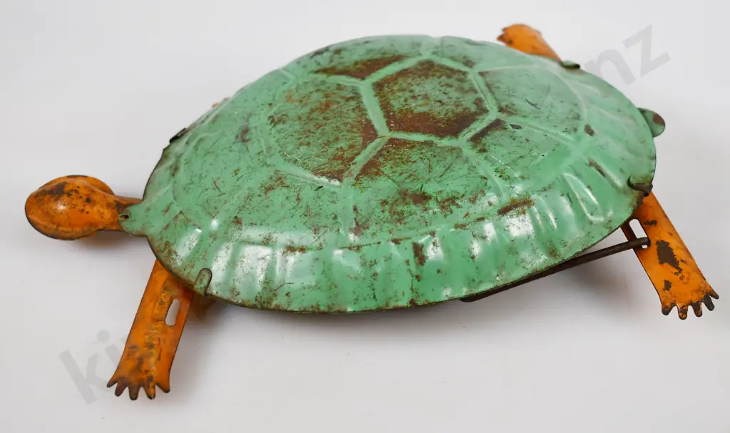 HERCULES TOMMY TORTOISE Image 1++