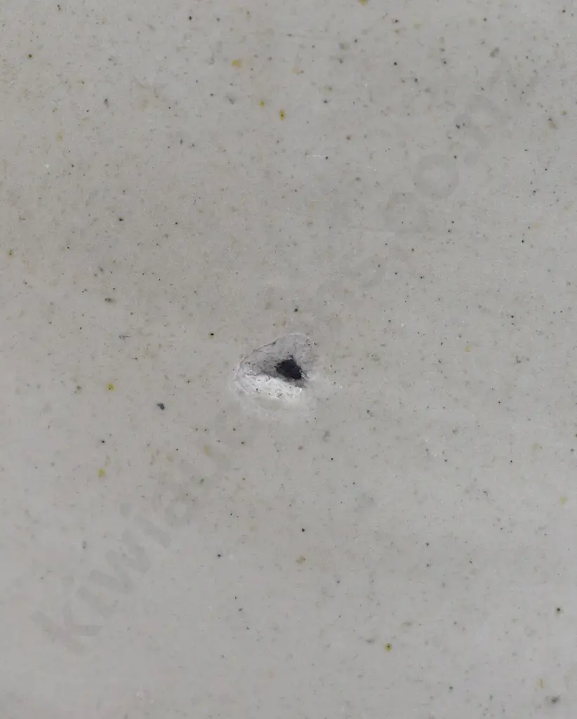 THOMAS WESTPORT STONE JAR Image 1++