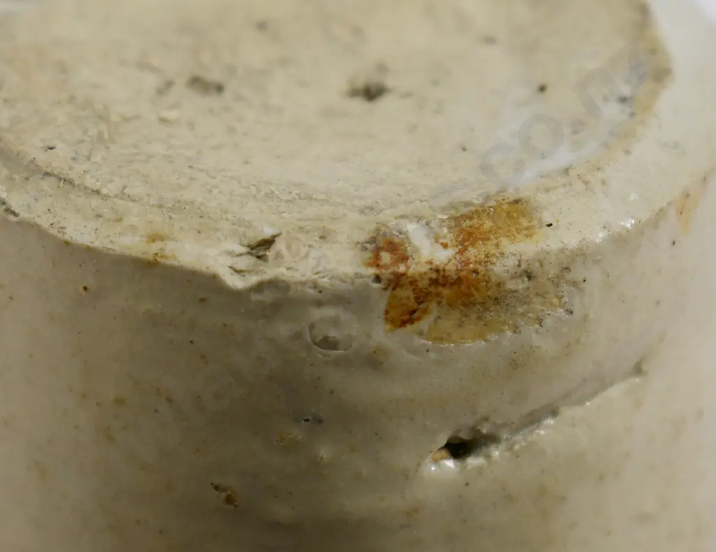 RICH NELSON IMPRESSED GINGER BEER Image 1++