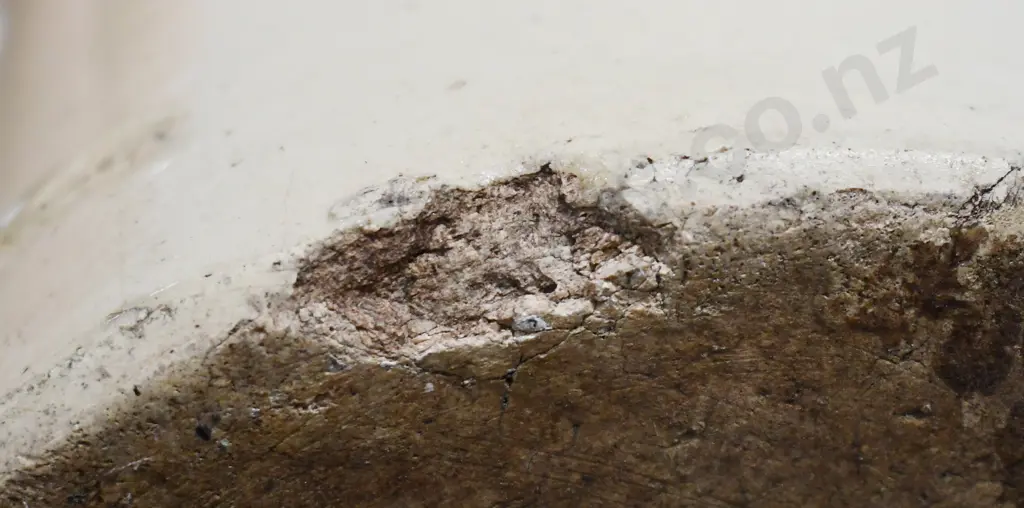 BECK PALMERSTON NORTH STONE JAR Image 1++