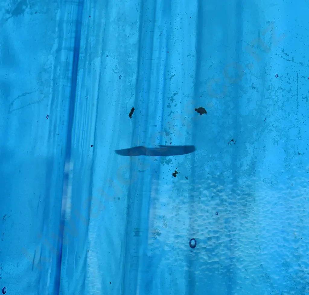 HUIA DANNEVIRKE MASTERTON SODA SYPHON Image 1++