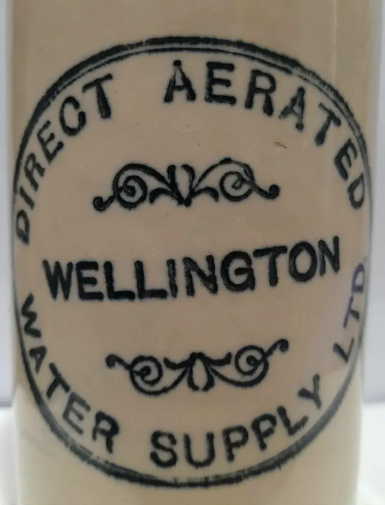 DIRECT SUPPLY WELLINGTON GINGER BEER Image 1++