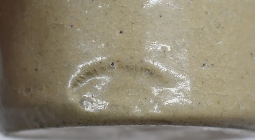 MACE CHRISTCHURCH GINGER BEER Image 1++