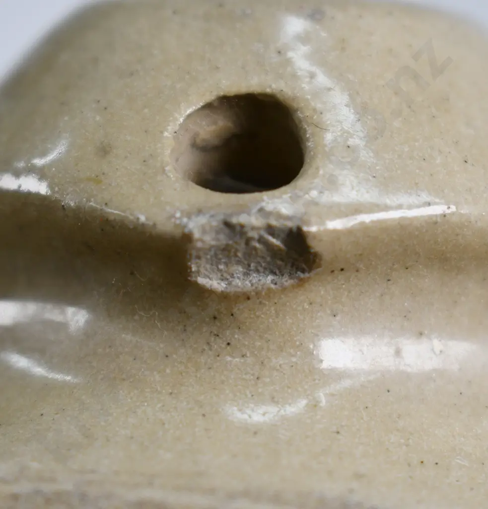 POWLEY & KEAST SPEIGHTS (DUNEDIN) STONE JAR Image 1++