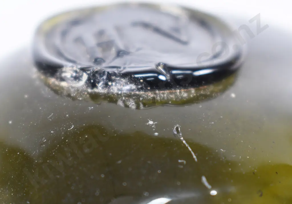 HOUTMAN SCHIEDAM SEALED GIN Image 1++