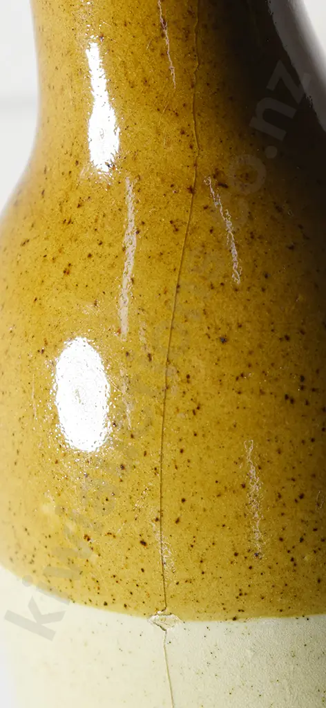 FITZGERALD (TE AWAMUTU) GINGER BEER Image 1++