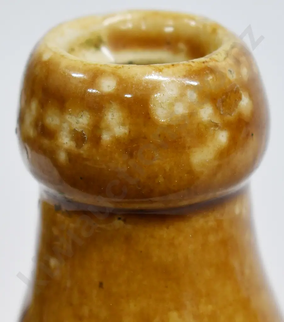 GIBBONS PALMERSTON NORTH GINGER BEER Image 1++