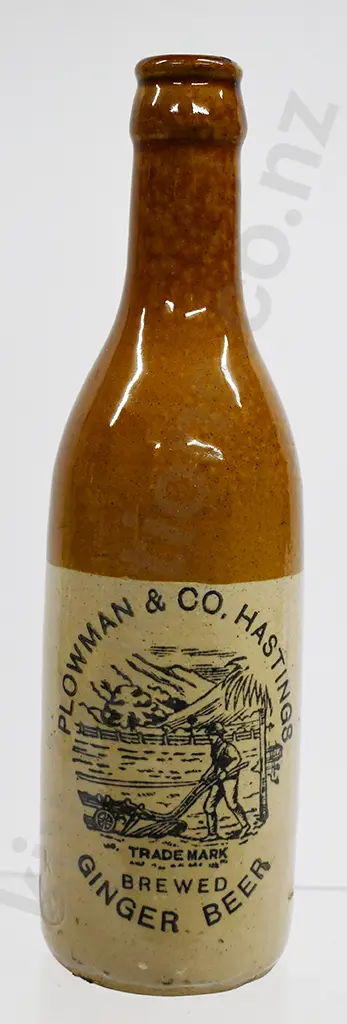 PLOWMAN NAPIER GINGER BEER Image 1++