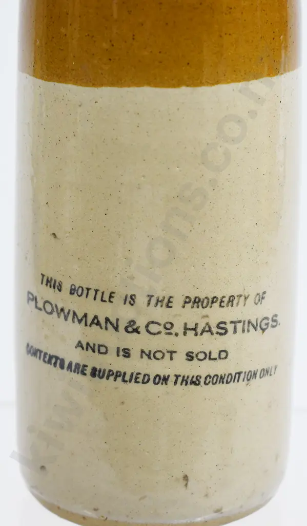 PLOWMAN NAPIER GINGER BEER Image 1++