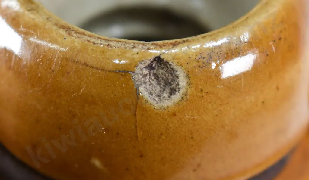 POWLEY & KEAST SPEIGHTS DUNEDIN STONE JAR Image 1++