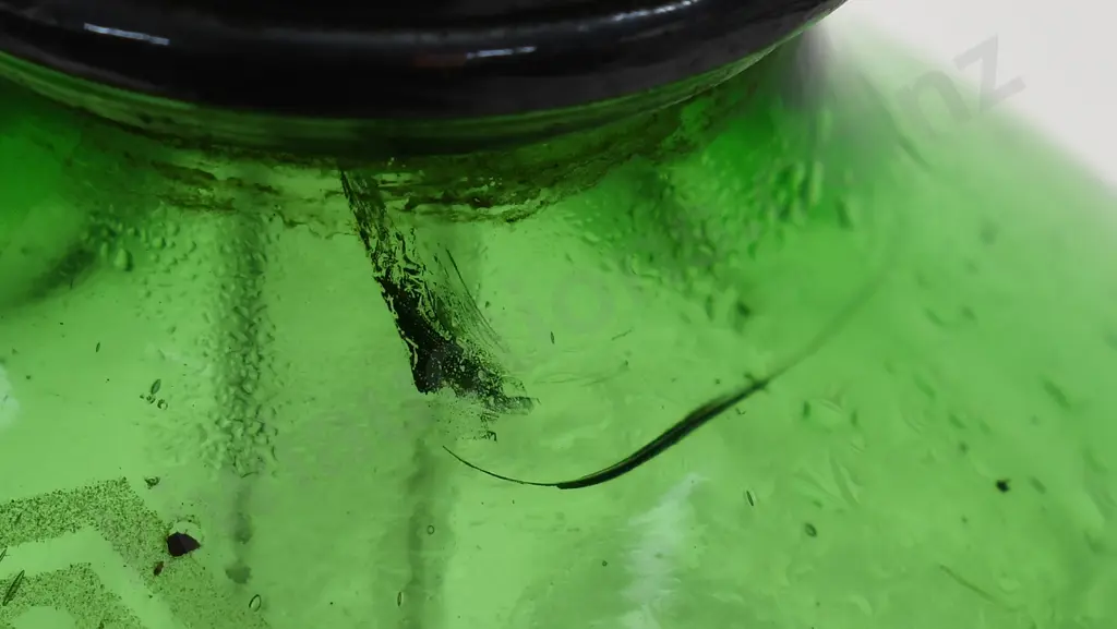 PLOWMAN NAPIER GREEN SODA SYPHON Image 1++