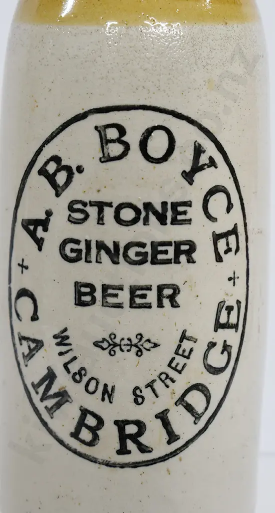BOYCE CAMBRIDGE GINGER BEER Image 1++