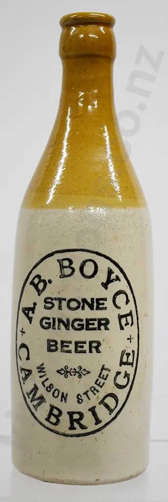 BOYCE CAMBRIDGE GINGER BEER Image 1++