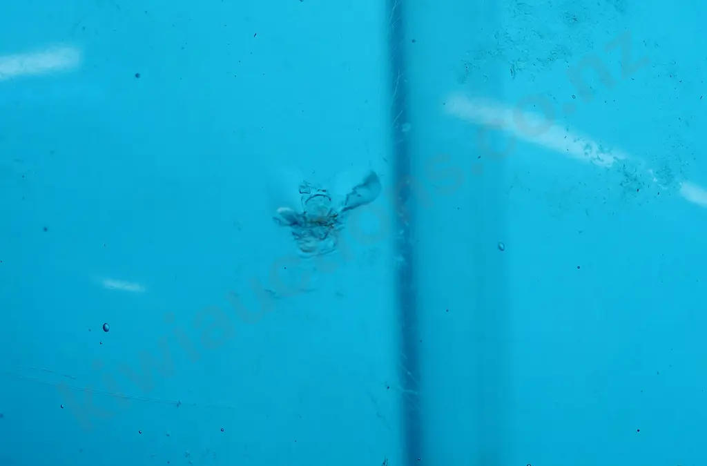 McKINLAY WESTPORT BLUE SODA SYPHON Image 1++
