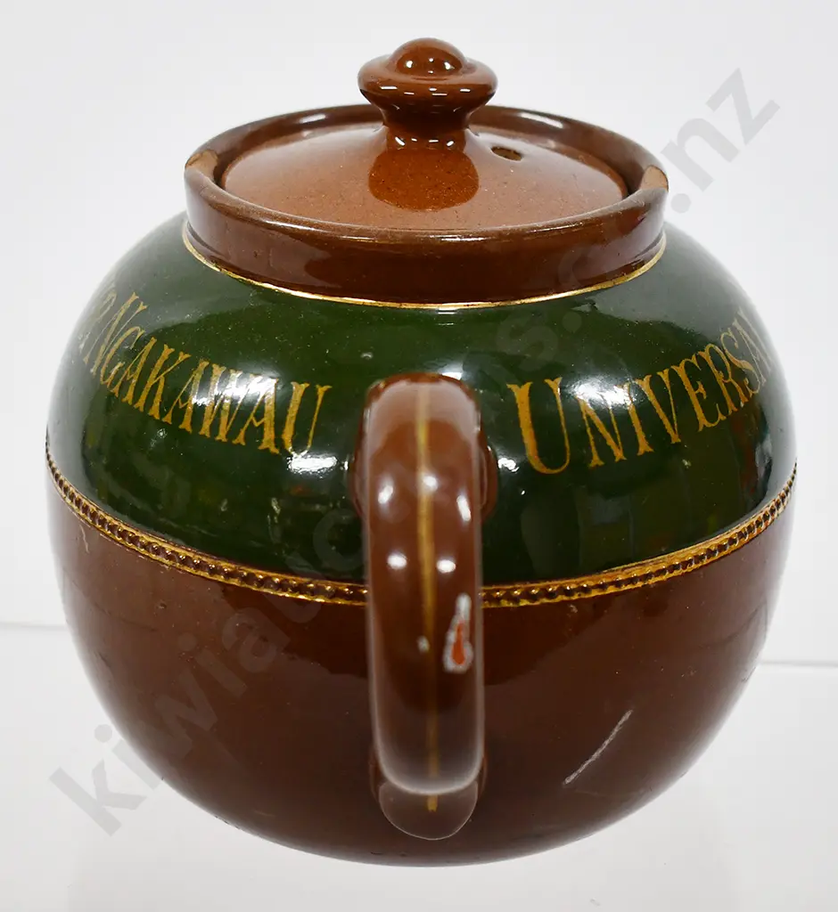 WEBSTER & MCARTHUR NGAKAWAU ADVERTISING TEAPOT Image 1++