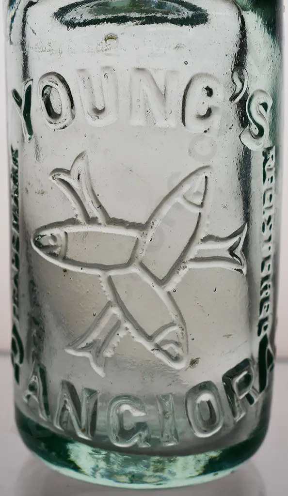 YOUNG'S RANGIORA 6oz CODD Image 1++