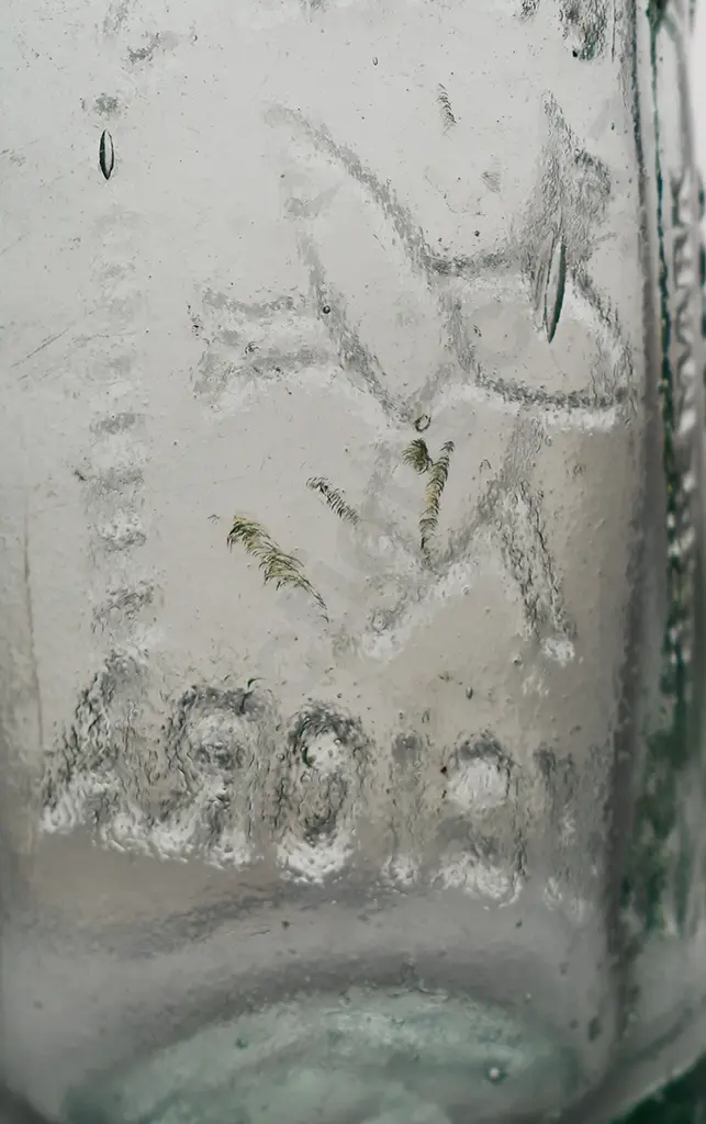 YOUNG'S RANGIORA 6oz CODD Image 1++