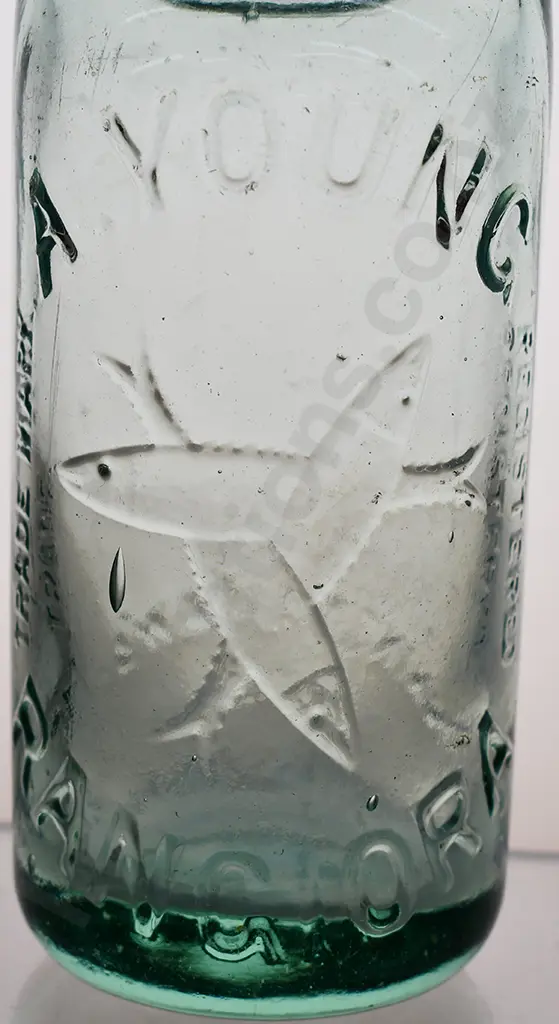 YOUNG RANGIORA 10oz CODD Image 1++