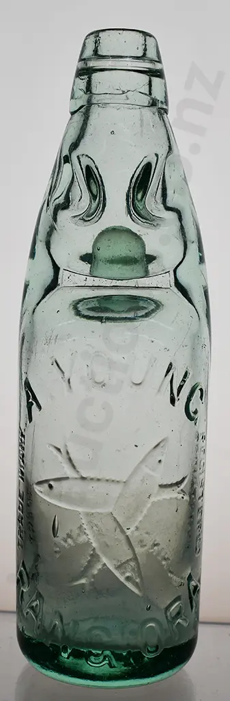 YOUNG RANGIORA 10oz CODD Image 1++