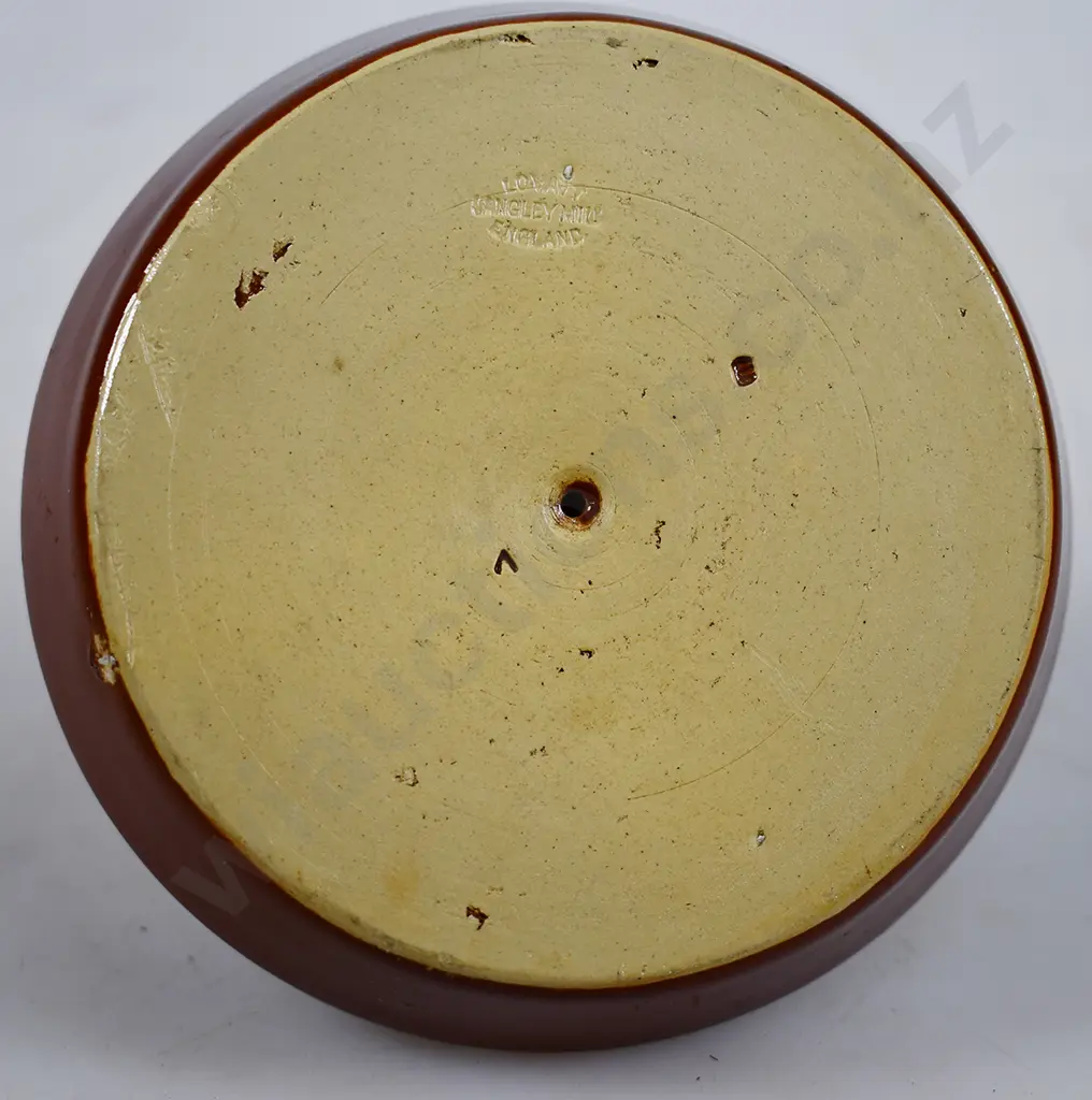 RITCHIE'S STAFFORDSHIRE HOUSE DUNEDIN MATCH STRIKER Image 1++