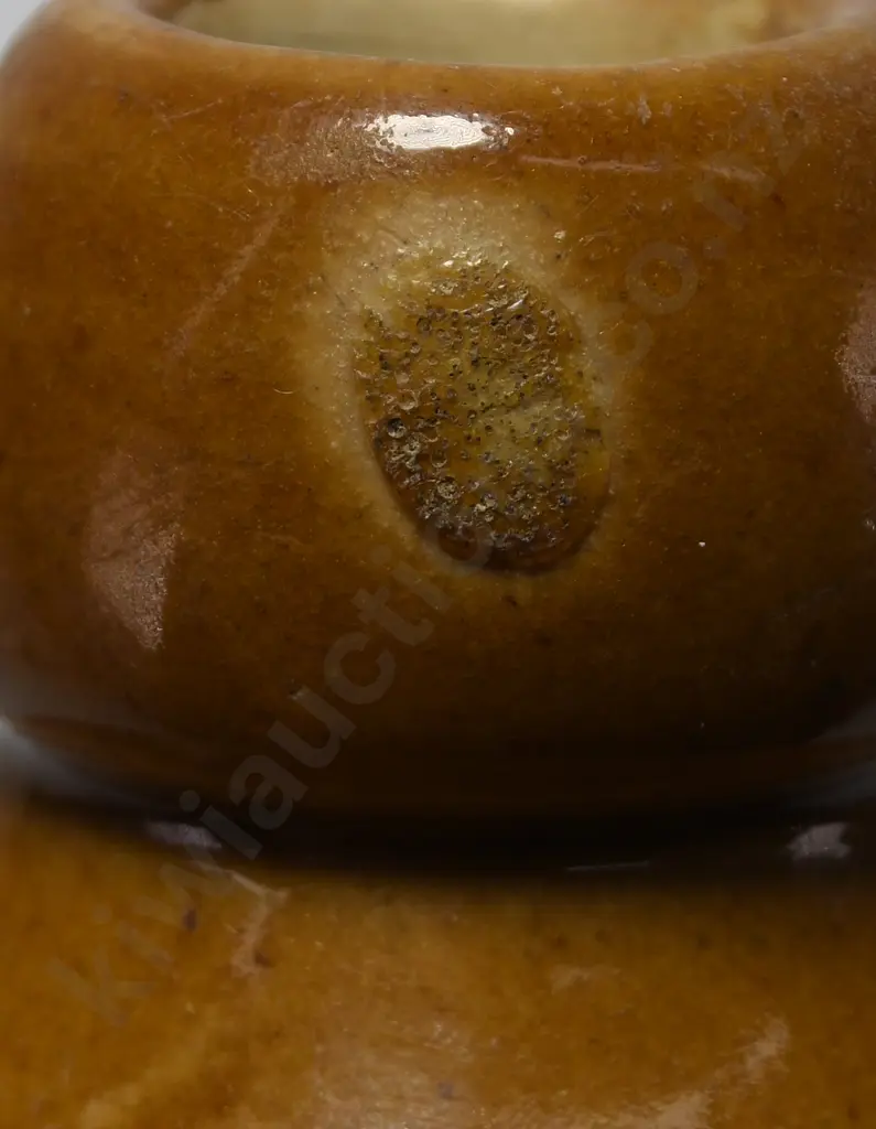 DIXON'S PALMERSTON NORTH GINGER BEER Image 1++
