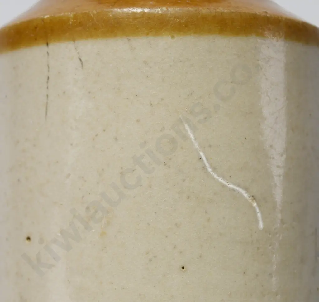 DIXON'S PALMERSTON NORTH GINGER BEER Image 1++