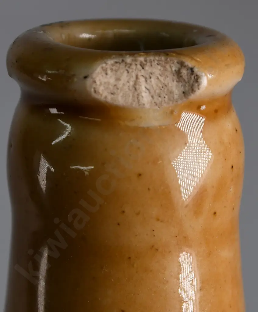 HUIA  DANNEVIRKE & MASTERTON GINGER BEER Image 1++