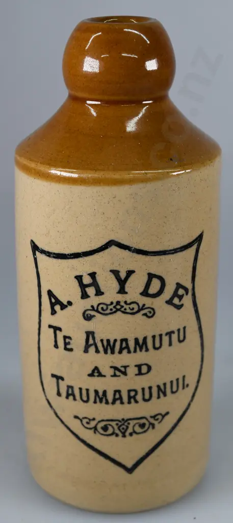 HYDE TE AWAMUTU AND TAUMARUNUI GINGER BEER Image 1++