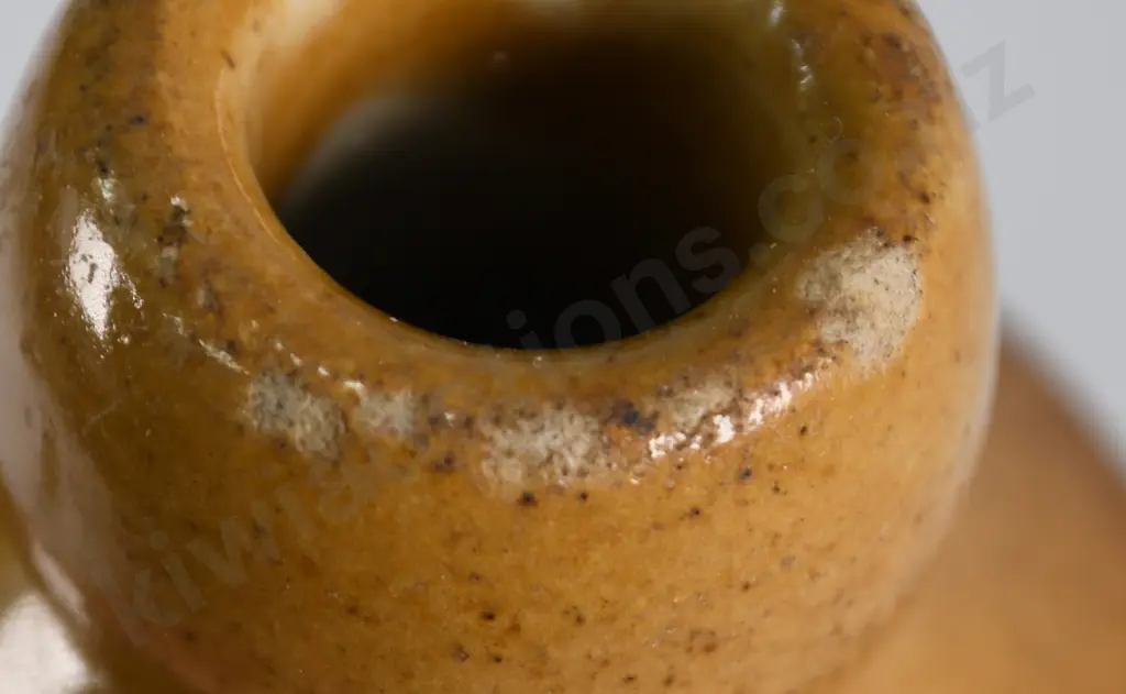 LANE & CO DUNEDIN GINGER BEER Image 1++
